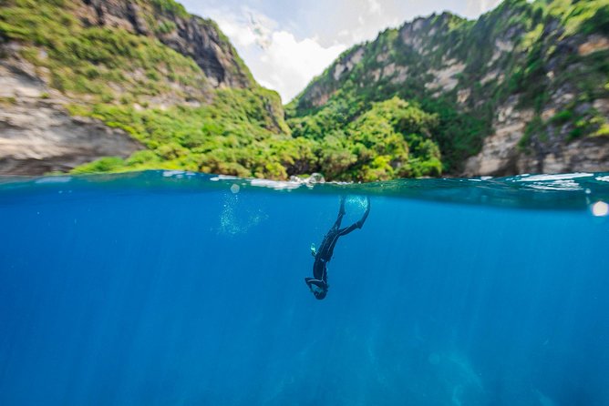 Try Freediving on Nusa Penida - Is $150 good value for three hours?