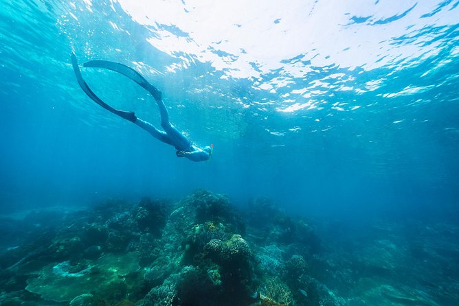 Try Freediving on Nusa Penida - Who will enjoy this most?