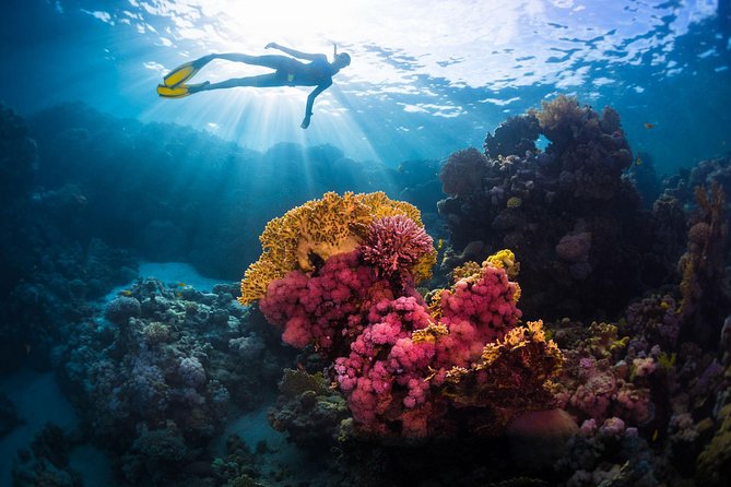 Try Freediving on Nusa Penida - Moving from theory to the home reef