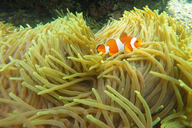 Try Scuba Diving at Padang Bai - What The $99.60 Price Really Covers