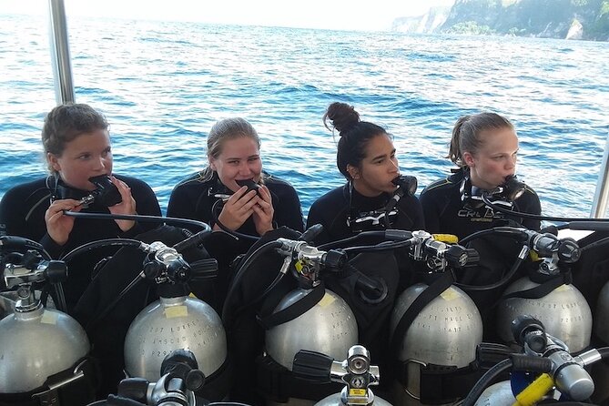 Try Scuba Diving for Beginners with manta rays (Non - Certified) - Key points to know before booking