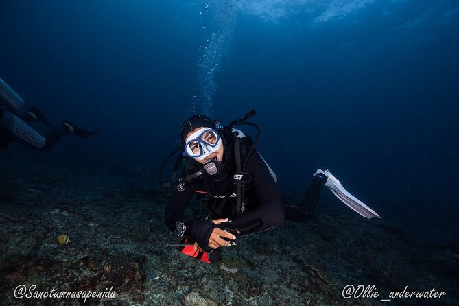 Try Scuba Diving for Beginners with manta rays (Non - Certified) - Why Nusa Penida and manta rays matter