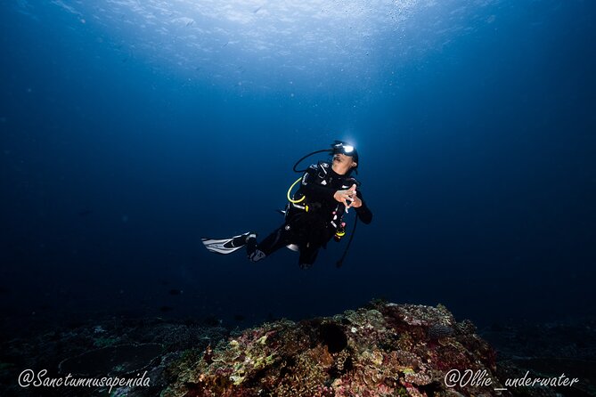 Try Scuba Diving for Beginners with manta rays (Non - Certified) - What the price includes at $122.19