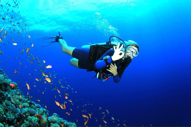 Tulamben Diving Tour Shipwreck USS Bali - Safety, fitness, and timing rules