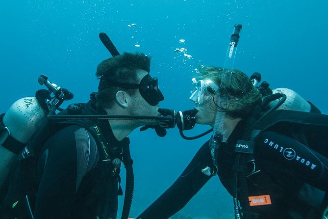 Tulamben Diving Tour Shipwreck USS Bali - Who will get the most from this trip