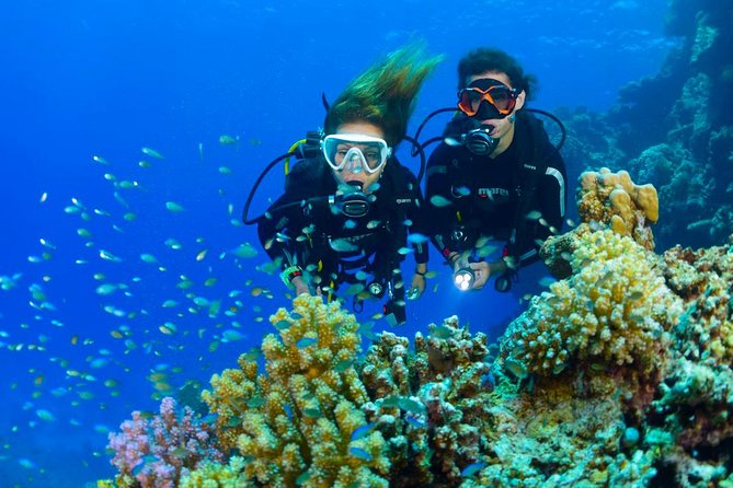 Tulamben Diving Tour Shipwreck USS Bali - Exploring the USS Liberty from shore