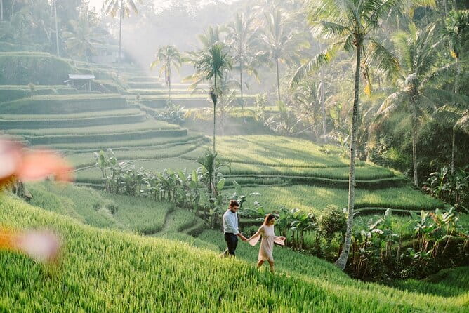 Ubud 1 Day Tour (Private & All-Inclusive) - Tegalalang Rice Terrace: the famous final view