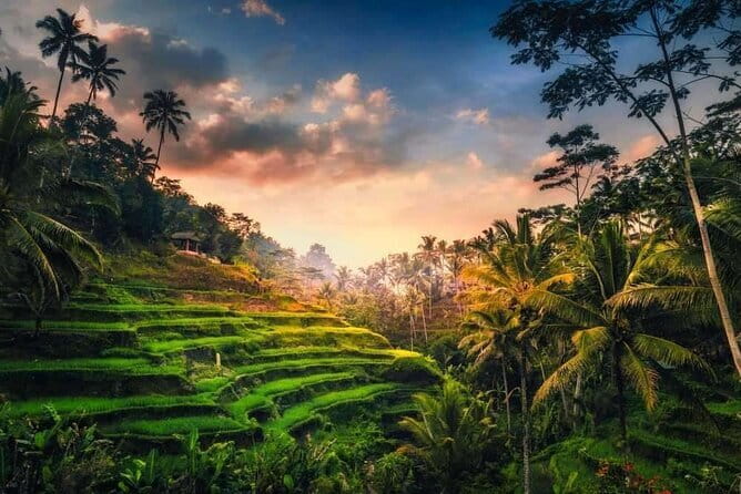 Ubud 1 Day Tour (Private & All-Inclusive) - Transport, timing, and the value of $48.61