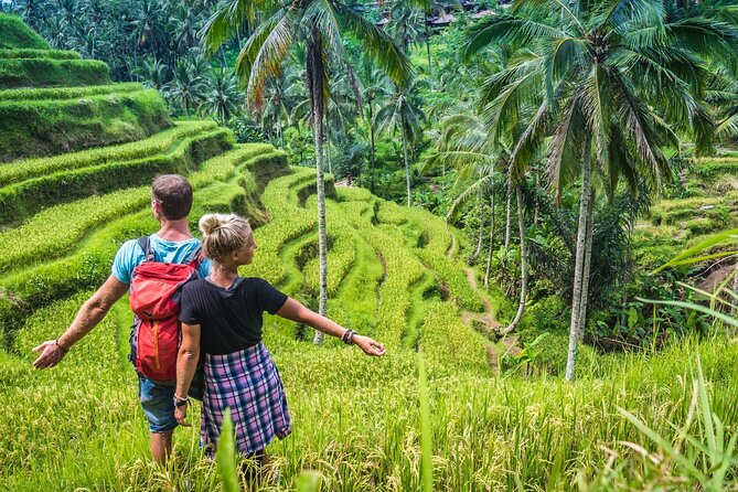 Ubud Adventure All Inclusive Private Day Tour - Walking the Tegalalang Rice Terrace