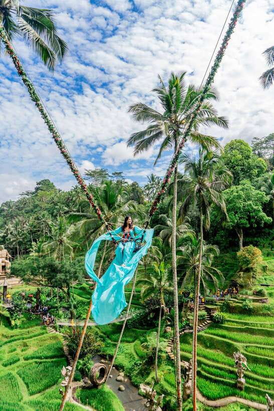 Ubud: Alas Harum Day-Pass, Swing, Sky Bike & Flying Fox - Key points at a glance