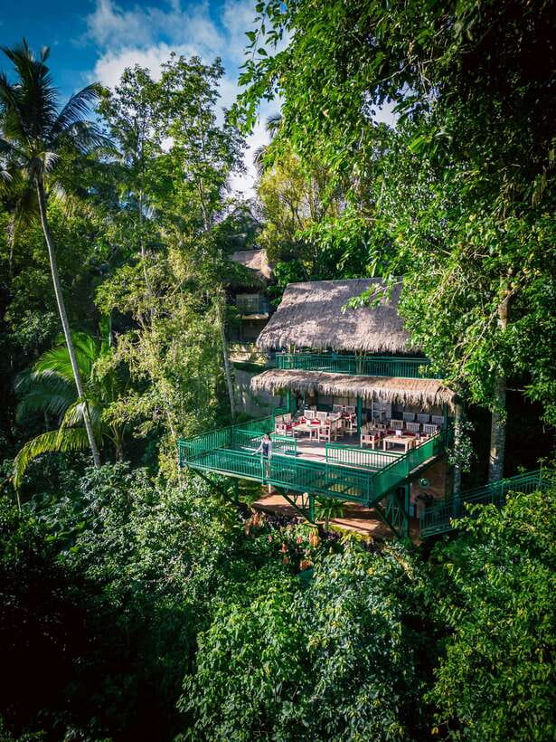 Ubud: Alas Harum Day-Pass, Swing, Sky Bike & Flying Fox - What Your Alas Harum Day Looks Like