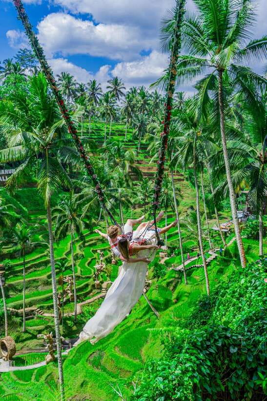 Ubud: Alas Harum Day-Pass, Swing, Sky Bike & Flying Fox - Coffee, Agriculture, and the Park’s Local Side