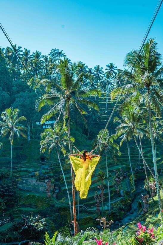 Ubud: Alas Harum Day-Pass, Swing, Sky Bike & Flying Fox - Is the Low Price Really Good Value?