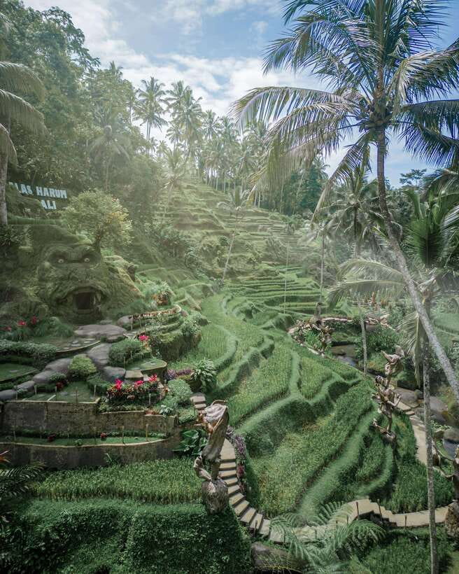 Ubud: Alas Harum Day-Pass, Swing, Sky Bike & Flying Fox - The 25-Meter Super Extreme Swing