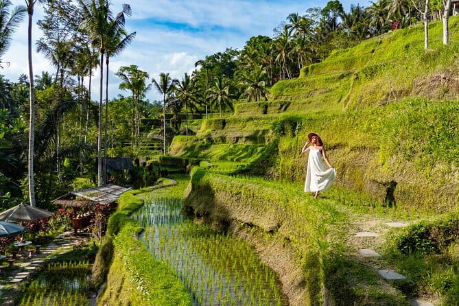 Ubud All-Inclusive Tour with Swing and Lunch - Key points to know before booking