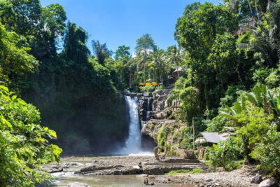 Ubud All-Inclusive Tour with Swing and Lunch