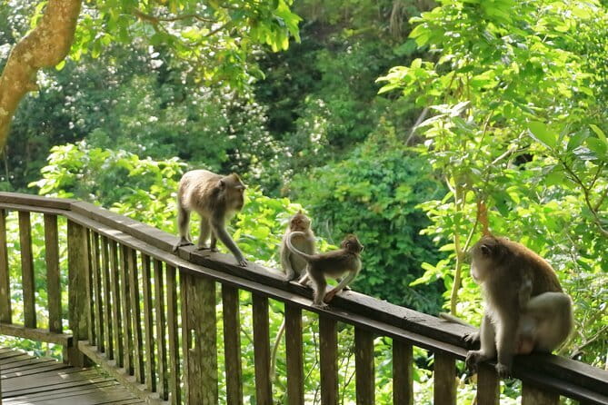 Ubud All-Inclusive Tour with Swing and Lunch - Lunch at D Alas Warung