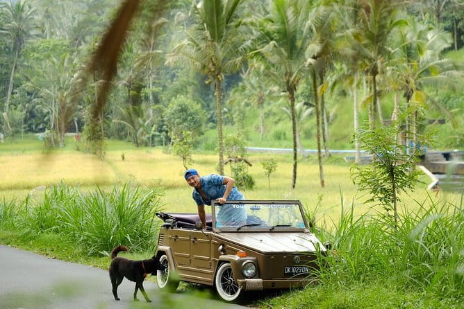 Ubud All-Inclusive Tour with Swing and Lunch - Tegalalang Rice Terrace and traditional irrigation