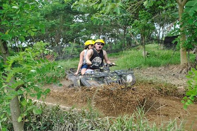 Ubud ATV Quad Bike, Monkey Forest and Rice Terrace - Tegalalang Rice Terrace and the famous Bali view
