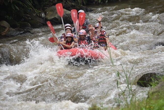 Ubud Ayung River Rafting with Meeting Point or Pickup - Who should book this rafting trip?
