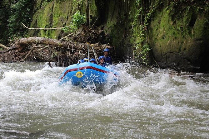 Ubud Ayung Water Rafting included Lunch and Transfer - Lunch beside the rice fields