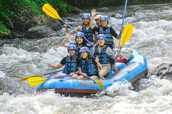 Ubud Ayung Water Rafting included Lunch and Transfer - Who should book this rafting trip