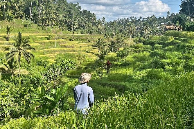 Ubud Bali Driver - Private Driver in Ubud - Kanto Lampo Waterfall, a short first stop