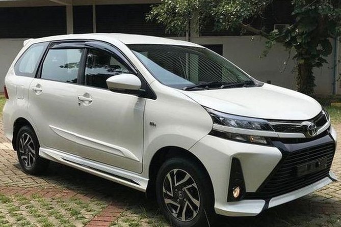 Ubud Bali Private Airport Transfers – Seamless & Stress-Free - Transfers beyond Ubud