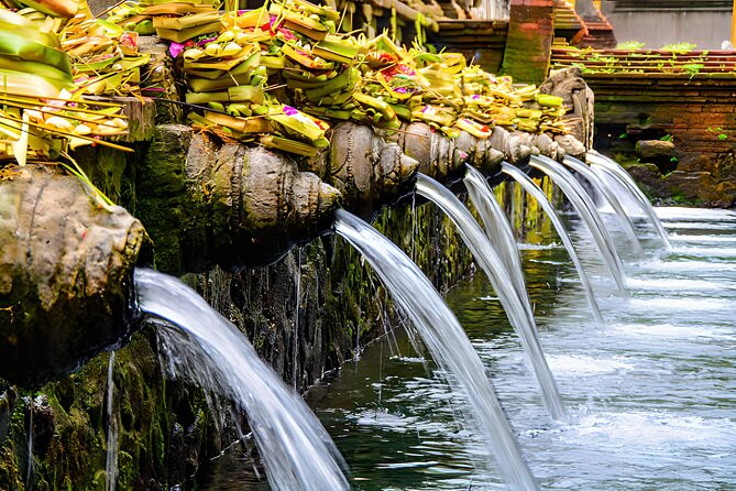 Ubud Bali: Rice Terrace, Waterfall and Tirta empul Day Tour - Why this Ubud day trip works well from Seminyak