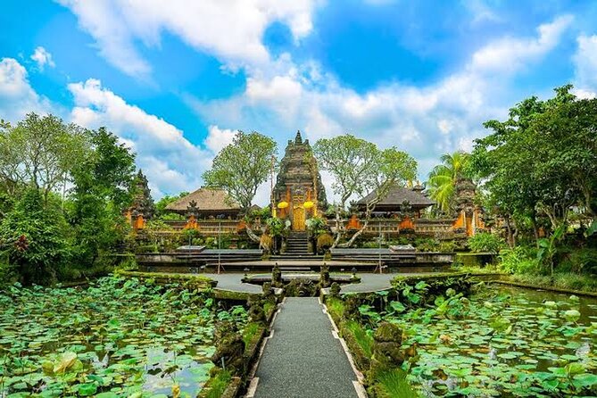 Ubud Bali: Rice Terrace, Waterfall and Tirta empul Day Tour - Tegalalang Rice Terrace, the day’s big view