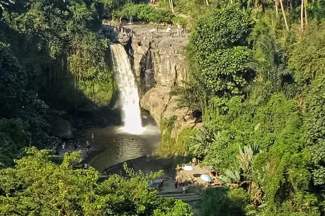 Ubud Best Tour - Why this private Ubud day works well