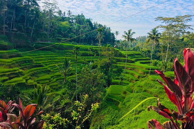 Ubud Best Tour - Ubud Traditional Art Market: a one-hour stop in town