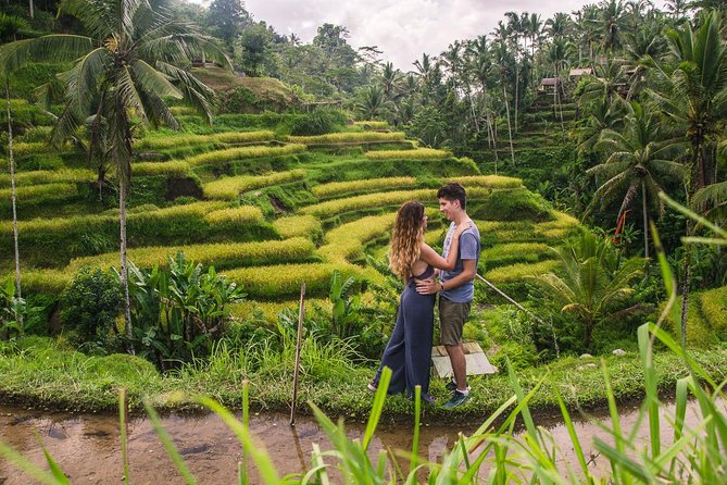 Ubud City Tour II: Monkey Forest, Palace, Art Market, and Rice Terrace - Ubud Monkey Forest: The Strongest Stop