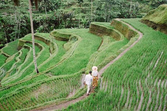 Ubud City Tour II: Monkey Forest, Palace, Art Market, and Rice Terrace - Ubud Traditional Art Market: Shopping With a Time Limit