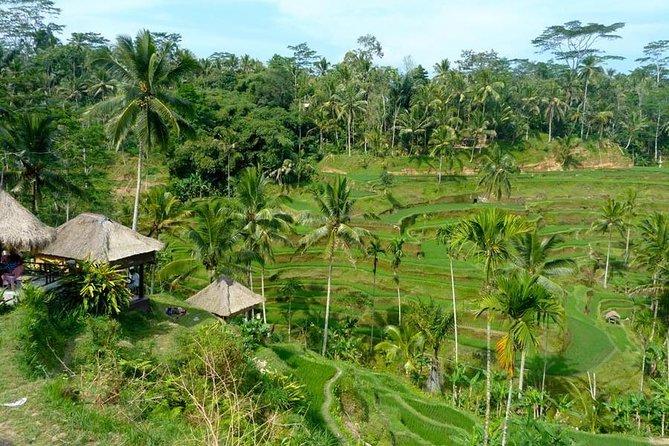 Ubud Combine Mount Batur Kintamani Tour - Tegenungan Waterfall brings water and stairs