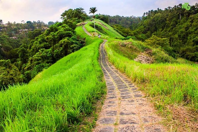 Ubud Countryside Tour: Campuhan Ridge Walk and Rice Terrace - A full day from hotel pickup to Ubud’s countryside