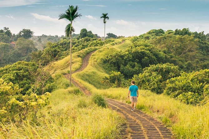 Ubud Countryside Tour: Campuhan Ridge Walk and Rice Terrace - Stop 3: Tegalalang Rice Terrace and the extra donation