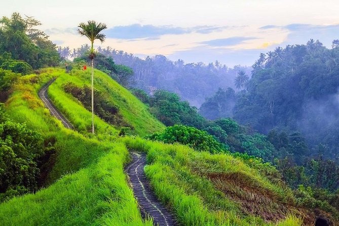 Ubud Countryside Tour: Campuhan Ridge Walk and Rice Terrace - Stop 4: Tirta Empul, Bali’s holy spring temple