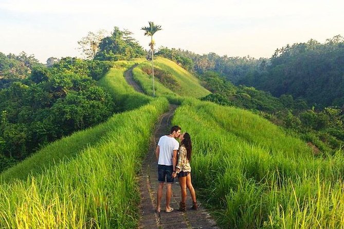 Ubud Countryside Tour: Campuhan Ridge Walk and Rice Terrace - Stop 5: Tegenungan Waterfall for a final nature stop