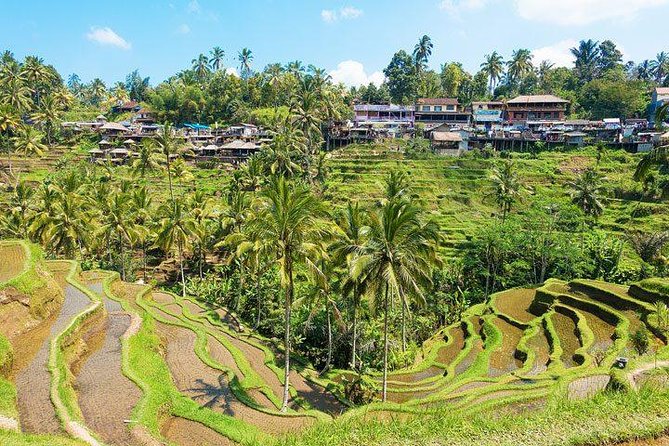 Ubud Countryside Tour: Campuhan Ridge Walk and Rice Terrace - The coffee plantation stop and what to clarify