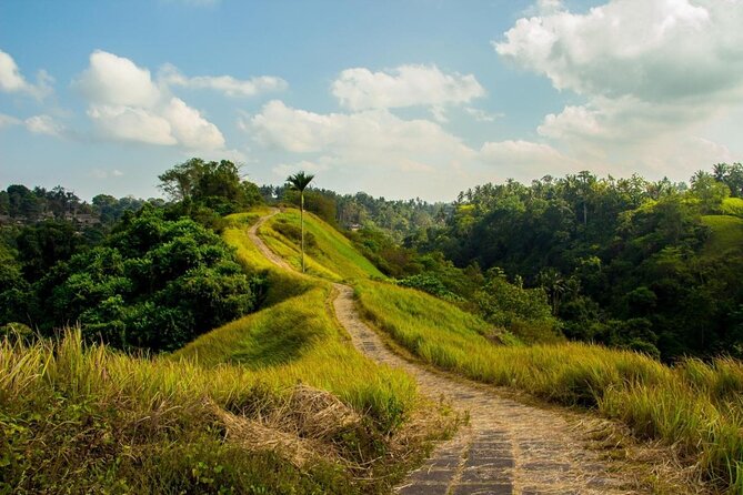 Ubud Countryside Tour: Campuhan Ridge Walk and Rice Terrace - Stop 2: The 30-minute Campuhan Ridge Walk