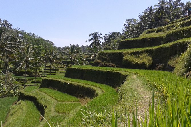 Ubud Cultural Day Tour: A Day for Balinese Cultural Experience - Batuan Temple and the details on its walls