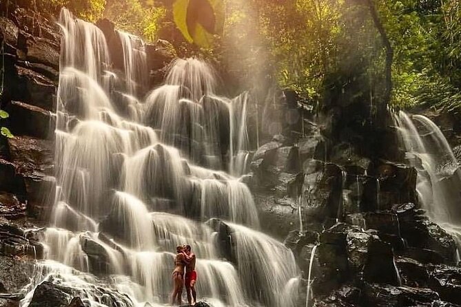 Ubud Customized Full Day Tour - Visit Most favorite In Ubud - Why this Ubud day works best as a private tour