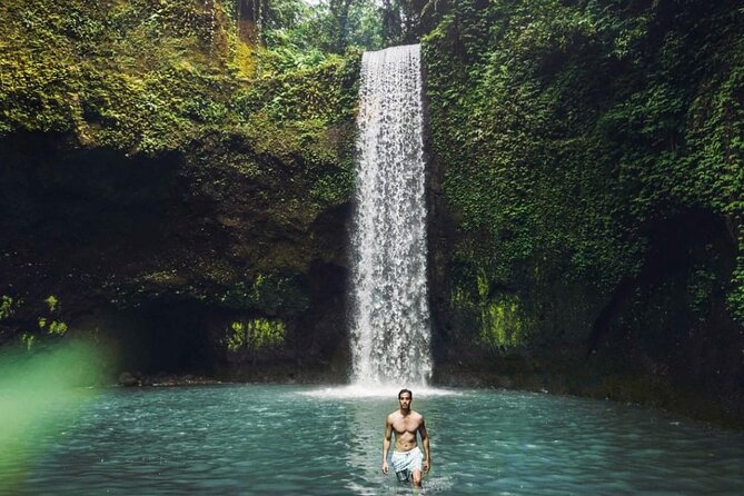 Ubud Customized Full Day Tour - Visit Most favorite In Ubud - Ubud Monkey Forest and the Jungle Swing