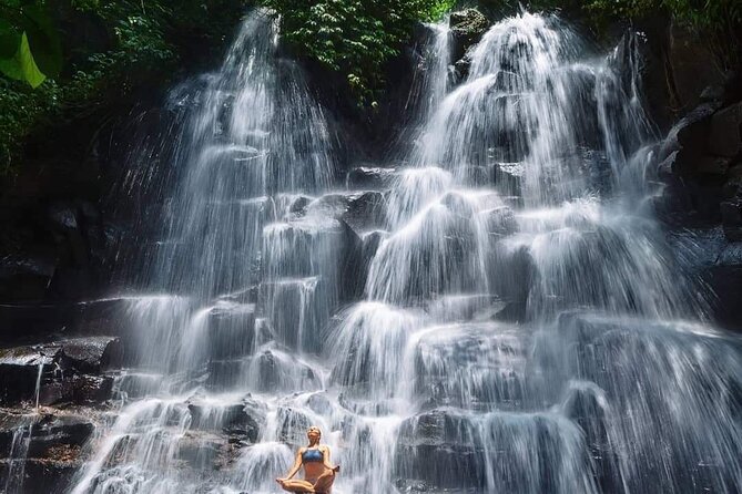 Ubud Customized Full Day Tour - Visit Most favorite In Ubud - Starting at Ubud Central Market