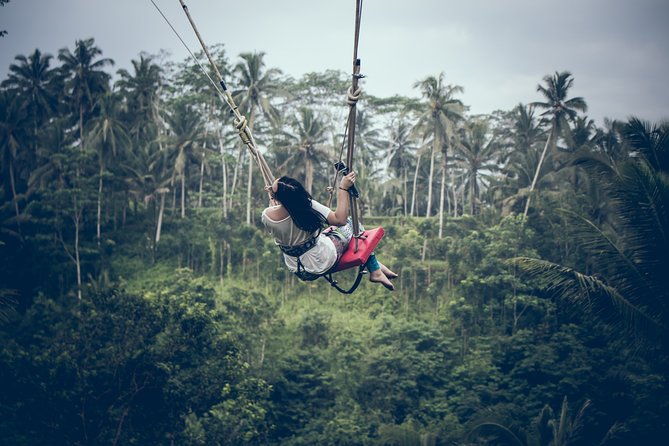 Ubud Customized Private Tour - A private Bali day built around your priorities
