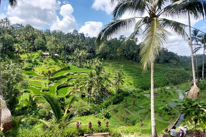 Ubud Customized Private Tour - What the drivers add to the day