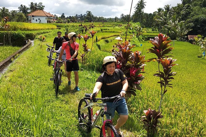 Ubud Cycling Tour - Coffee, herbal tea, and Balinese farming