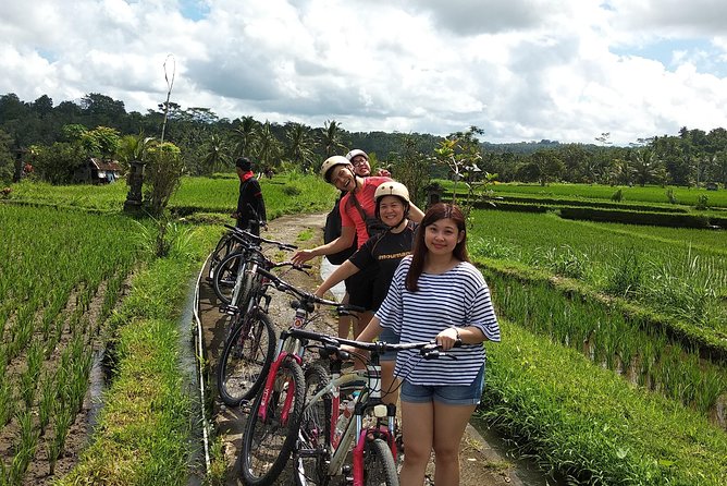 Ubud Cycling Tour - Temples, woodcarving, and local culture
