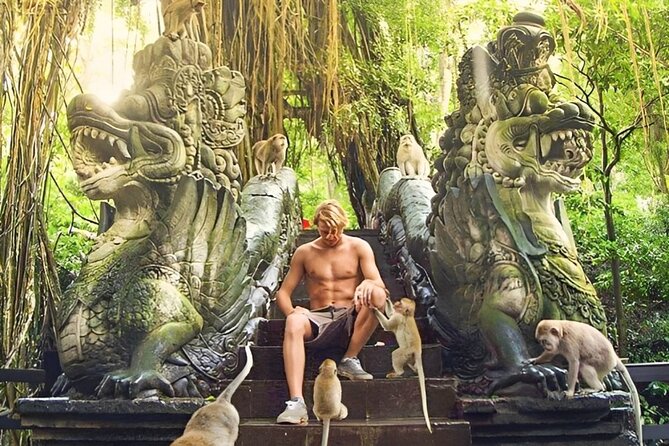 Ubud Day Tour: Sacred Monkey Forest, Tegenungan Waterfall, Rice Terrace - Elephant Cave: A Short Cultural Stop